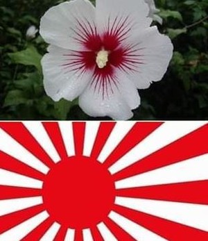 【悲報】韓国の国花ムクゲが親日