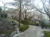 f7869ef6.jpg