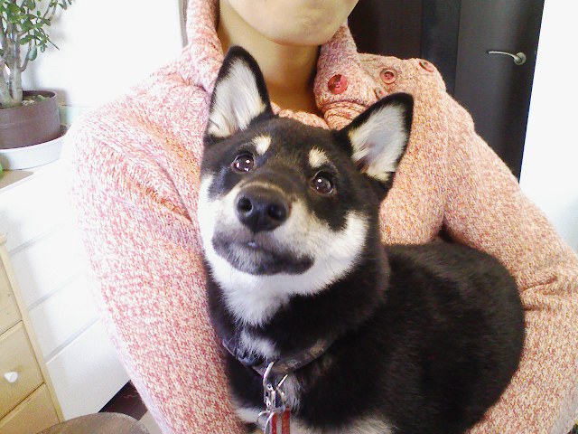 090103.takeru2