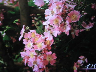 041