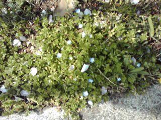 110426_1416~01 (2)