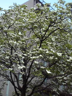 110426_1348~01