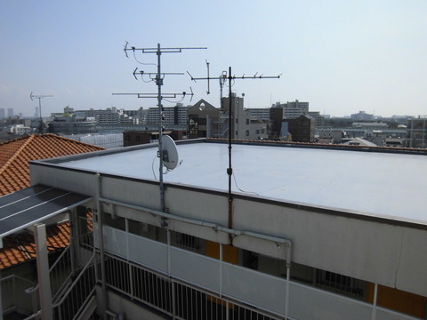 CIMG1687