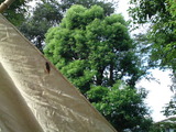 29a55994.jpg