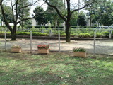 34534cd9.jpg