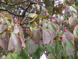 4f9a5129.jpg