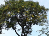 85342dba.jpg