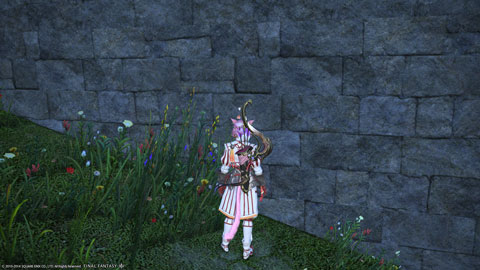 ffxiv_20140223_234635