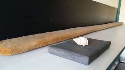 20170412_162556