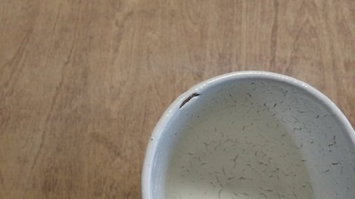 20141201_102213