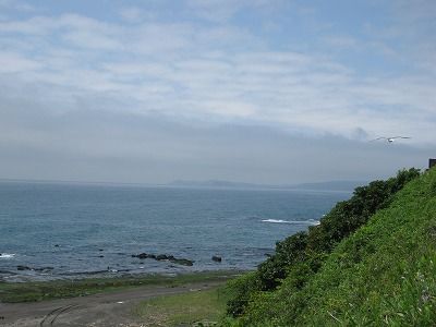 IMG_6216