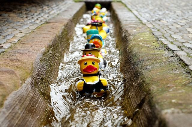 rubber-duck-1401225_640