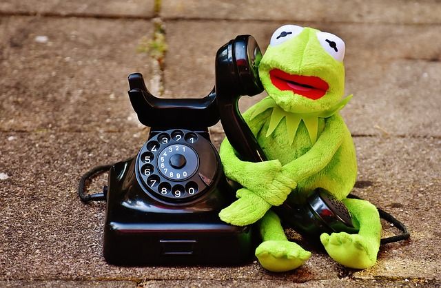 kermit-1664758_640