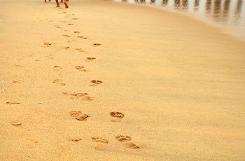 footprints_free_photo1-690x457