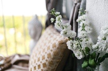kaboompics_White flowers and pillows