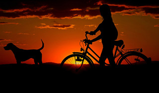 自転車とイヌ