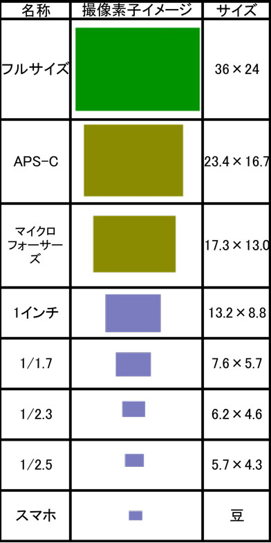 cisサイズ