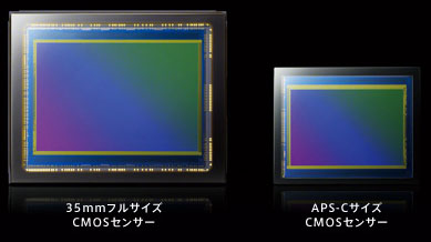 フルサイズとAPS-C