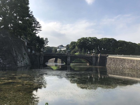 IMG_1028.jpeg
