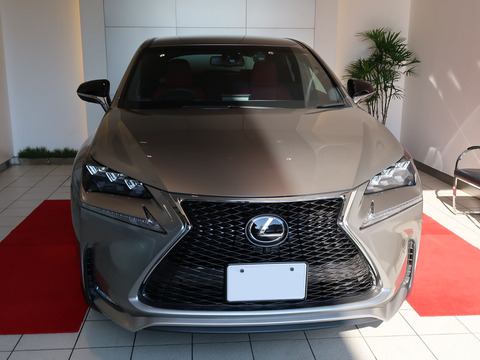 nx200tfsport20170111