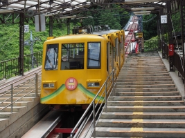 c5950cb1.jpg