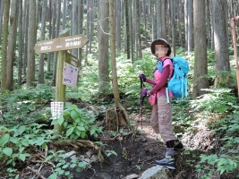 ca228277.jpg