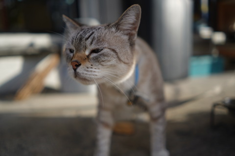 DSC01417