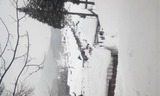 1f36c215.jpg