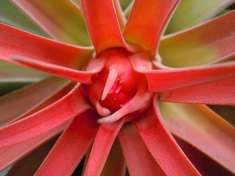 DSCN3315