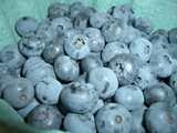 Blueberrypicking0724
