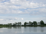 greenwich point