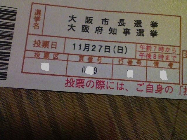 投票2011