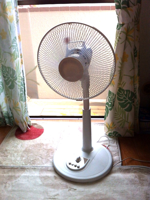 画像1