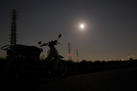 cub&moon