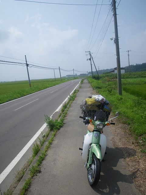 IMGP4275