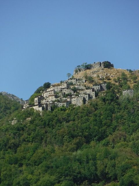 DSCF7132