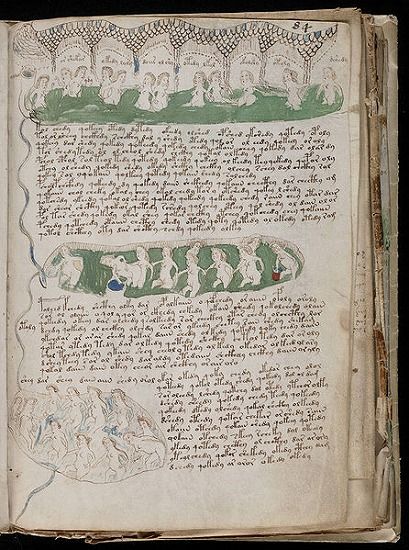 446px-Voynich_Manuscript_(153)