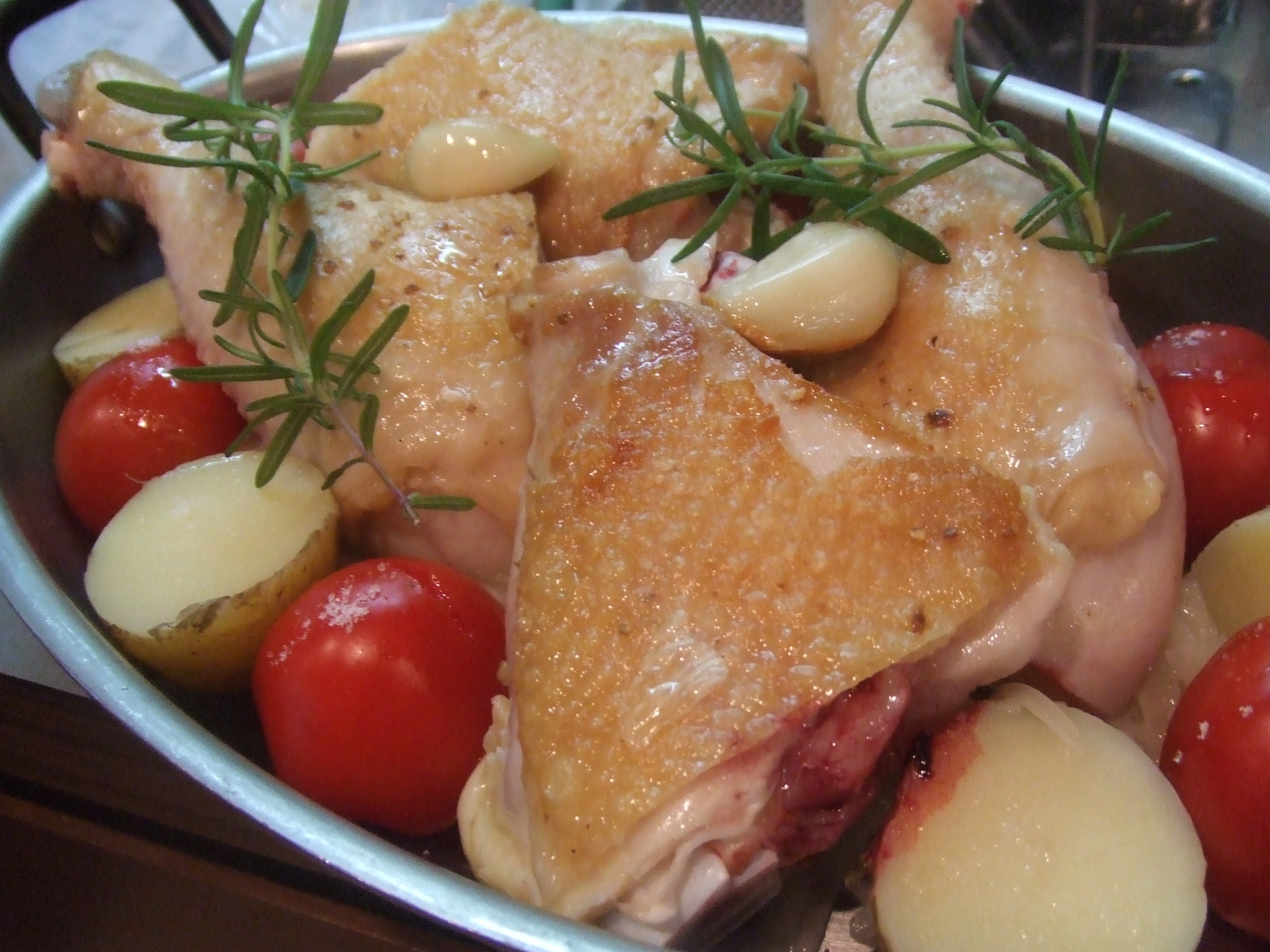 pollo