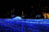 DSC00941