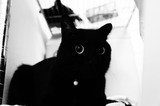 DSC00282