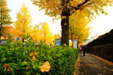 DSC00536