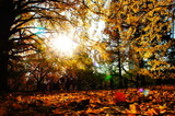 DSC00598