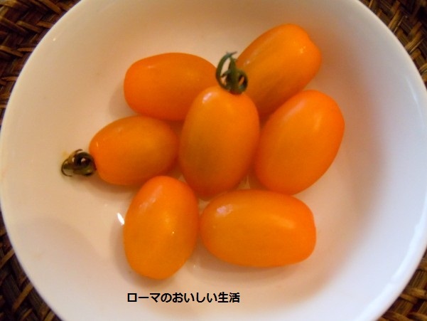 ローマのおいしい生活-魚