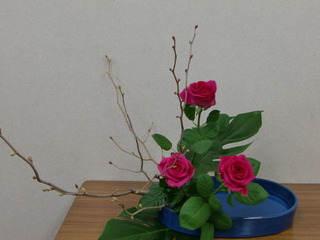 CIMG1790