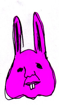 rabit