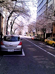 さくら通り