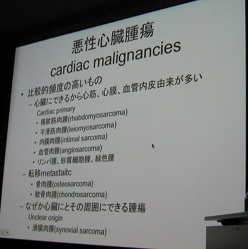 �绳��ͥ����29