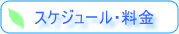 �������塼�롦����