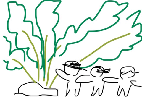 12059924_902231679832801_1925358759_o