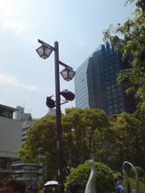 e7367208.jpg